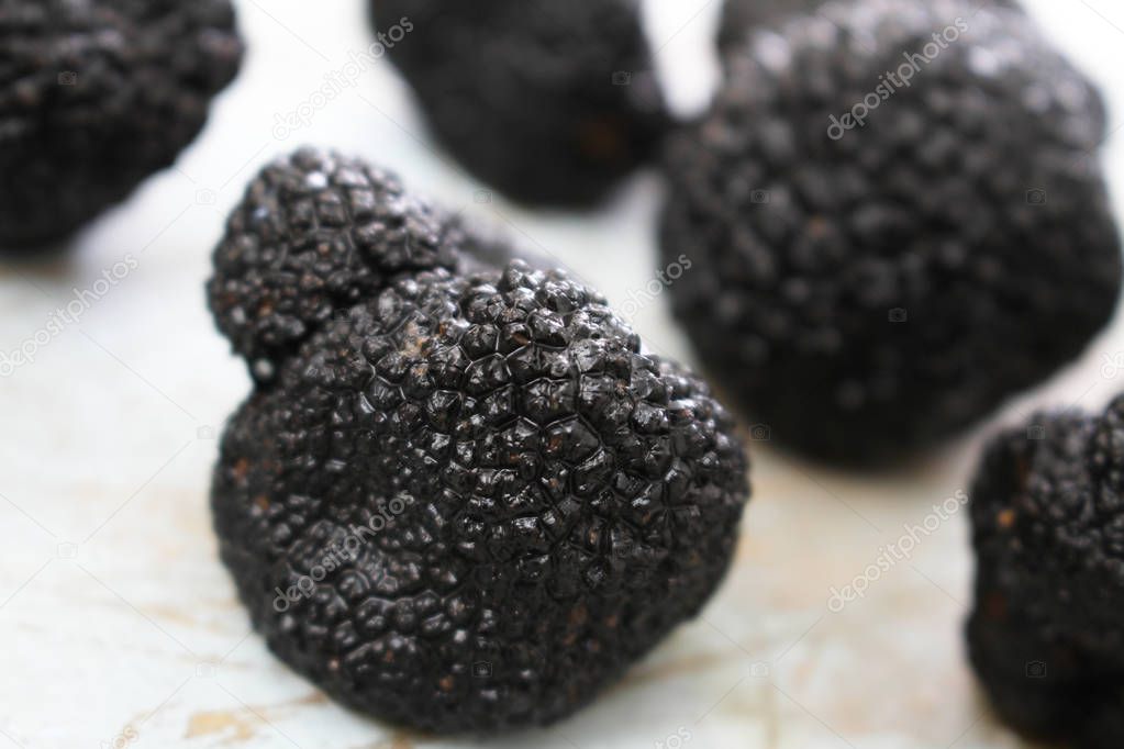French black perigord truffle
