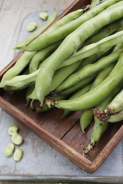 Fresh Broad Beans Table — Stock Photo, Image