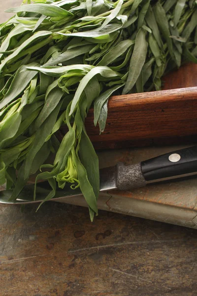 Fresh tasty herb tarragon