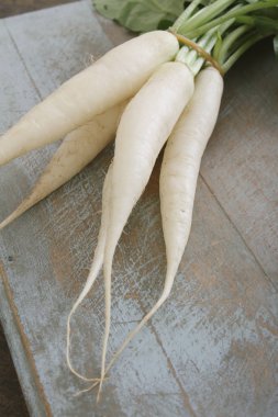 Masada beyaz daikon turp