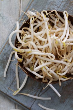 masanın üzerine taze fasulye filizi