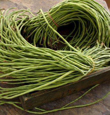 ham yarda fasulye bağlı