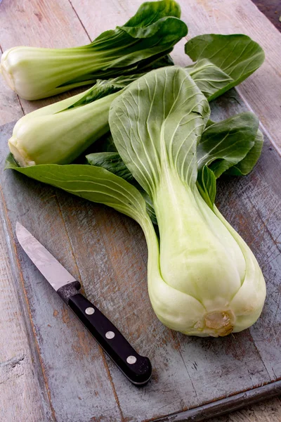 Cavolo Pac Choi Boc Choi — Foto Stock