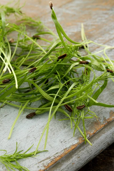 Preparing Fresh Micro Herbs — Stock Photo, Image