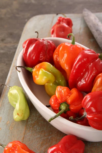 Chilifrukter Scotch Bonnet Mängd — Stockfoto