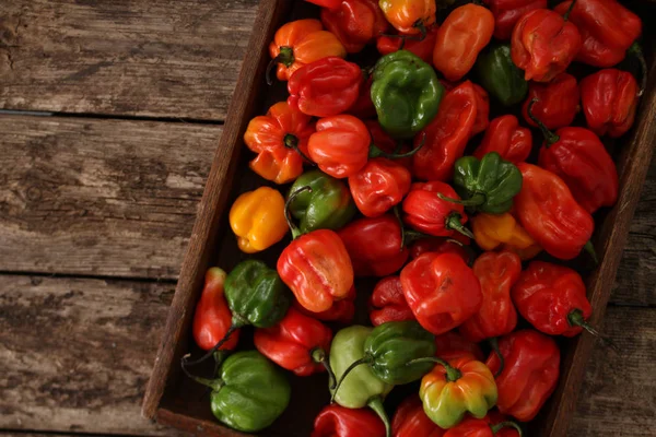 Chilifrukter Scotch Bonnet Mängd — Stockfoto