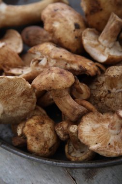 masanın üzerine taze çiğ mantar