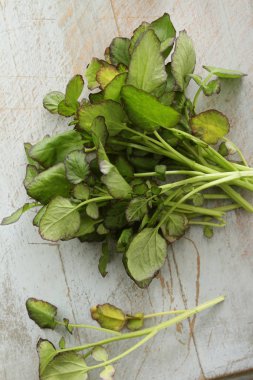 taze sağlıklı salata yaprakları