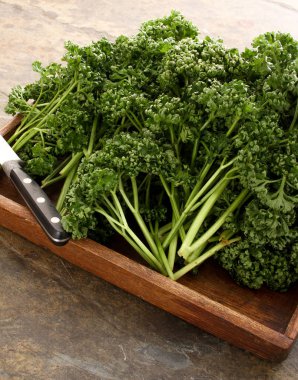 taze maydanoz tablo hazırlama