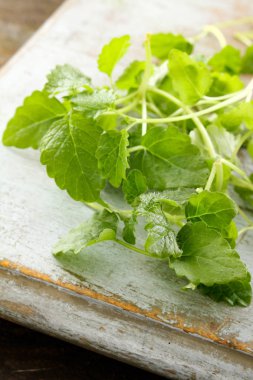 taze mikro otlar yakın çekim