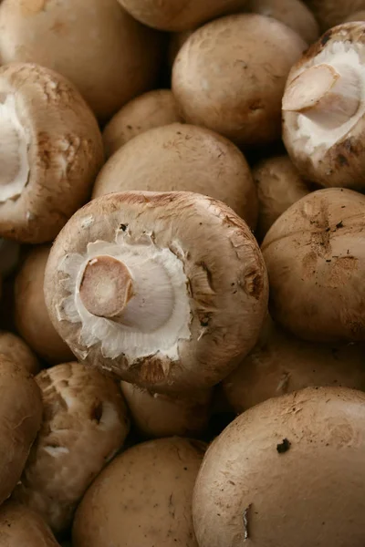 Fresh Uncooked Mushrooms Table — Stock Photo, Image