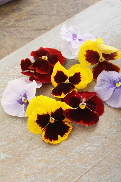 Flori Decorative Comestibile Floare — Fotografie, imagine de stoc