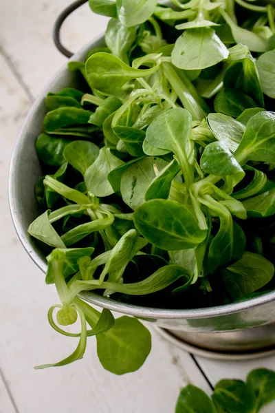 Frische Gesunde Salatblätter — Stockfoto