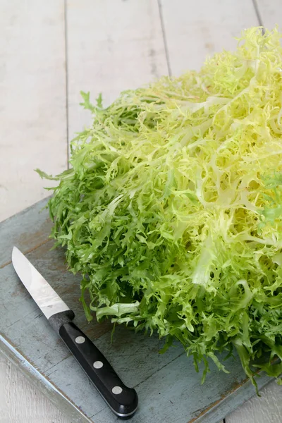 Folhas Salada Saudáveis Frescas — Fotografia de Stock