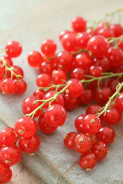 taze olgun redcurrants hazırlanıyor