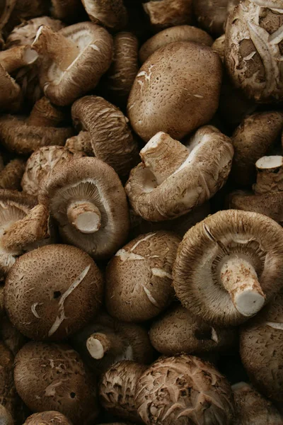 Cogumelos Frescos Não Cozidos Mesa — Fotografia de Stock