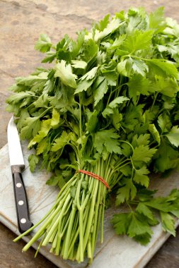 taze maydanoz tablo hazırlama