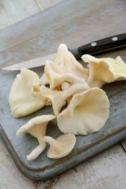 masanın üzerine taze çiğ mantar