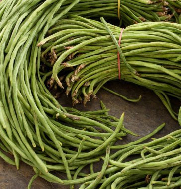 ham yarda fasulye bağlı