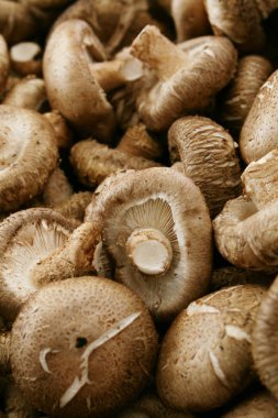 masanın üzerine taze çiğ mantar