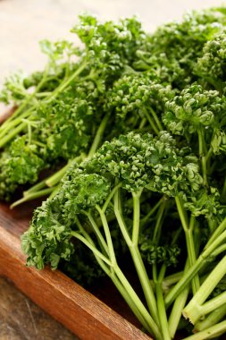 taze maydanoz tablo hazırlama