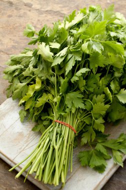 taze maydanoz tablo hazırlama