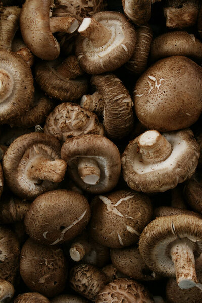 fresh uncooked mushrooms on the table