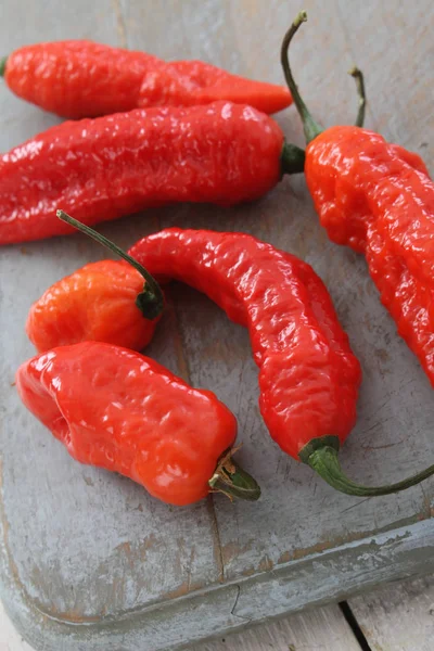 Chillie Naga Jolokia Paprika — Stockfoto