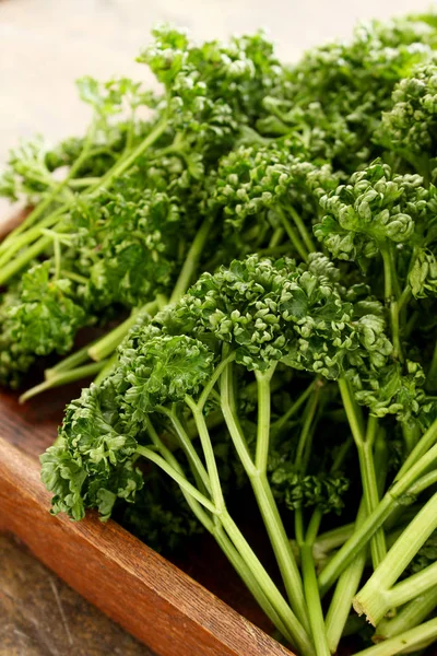 taze maydanoz tablo hazırlama