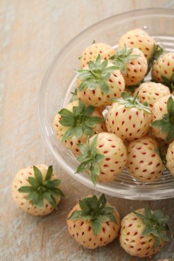 taze çam-berry meyve