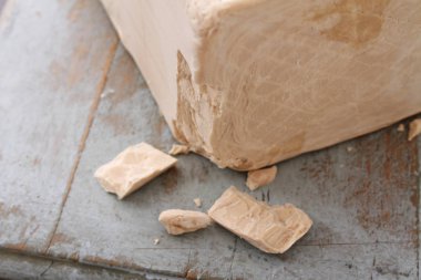 Canlı Maya blok masada