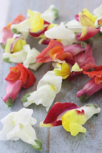 Frunze Proaspete Salată Masă — Fotografie, imagine de stoc