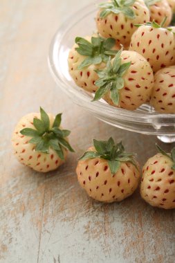 taze çam-berry meyve