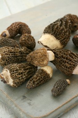 taze çiğ mantar yakın çekim