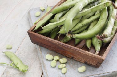 taze bakla hazırlanıyor