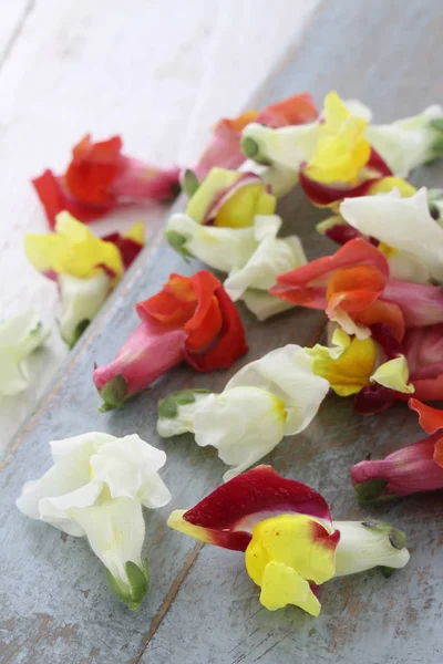 Feuilles Salade Fraîches Sur Table — Photo