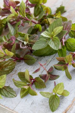 taze mikro otlar hazırlanıyor