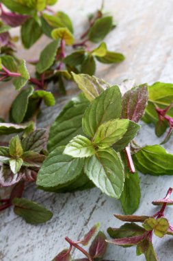 taze mikro otlar hazırlanıyor