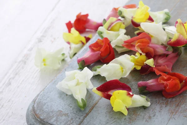 Edible Flower Petal Decoration — Stock Photo, Image