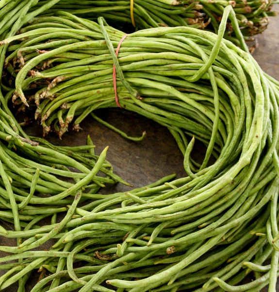 ham yarda fasulye bağlı