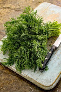 taze dereotu ot Grup