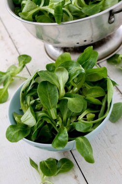 taze kuzu salata yaprakları