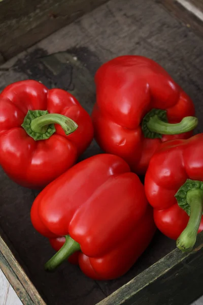 Preparing Fresh Red Peppers — Stock Photo, Image