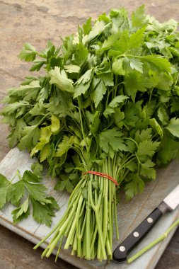 kesme tahtası üzerinde taze maydanoz hazırlanması 