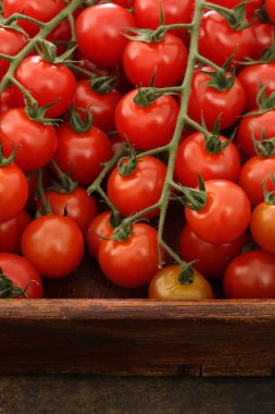 Taze olgun domatesler masada.