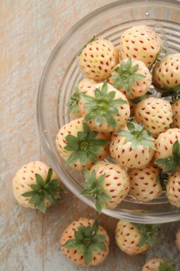 taze çam-berry meyve