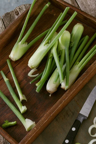 Preparing Fresh Baby Fennel — Stock Photo, Image