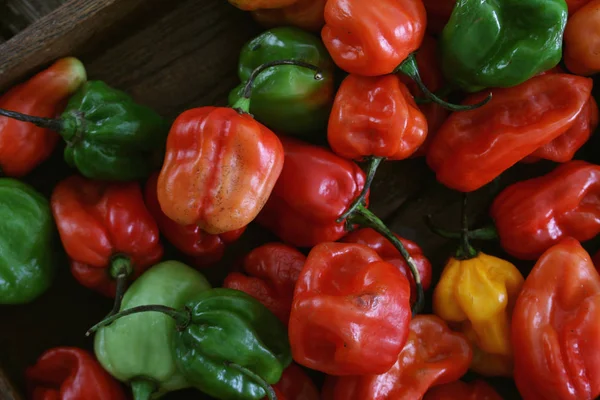 Chilischoten Auf Dem Tisch — Stockfoto