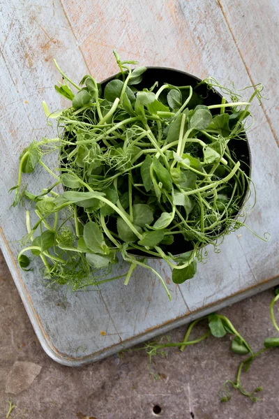 Zubereitung Von Frischen Erbsensprossen — Stockfoto