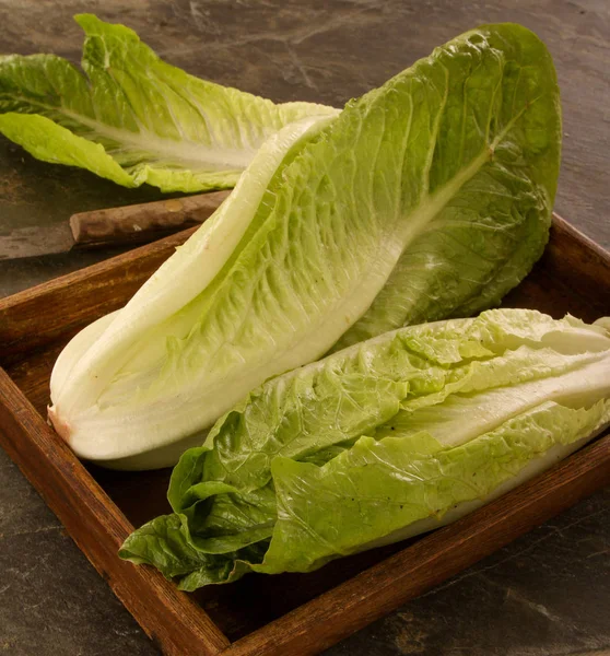 Frische Gesunde Salatblätter — Stockfoto